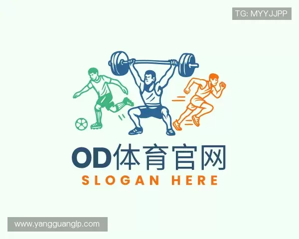 介绍OD体育官网